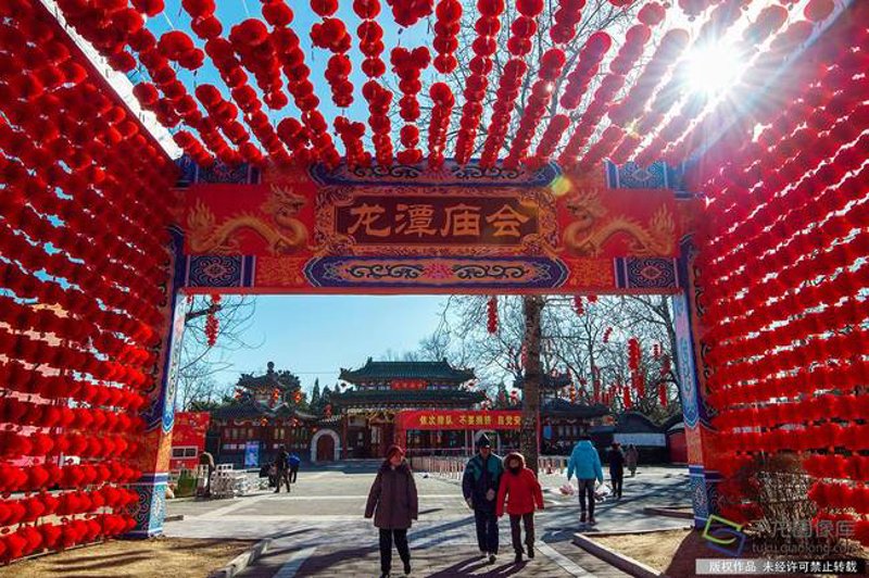 喜春首页：感受初春的美好